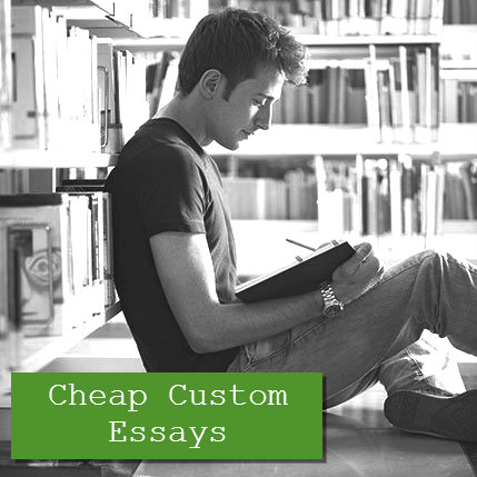 Custom essay writer