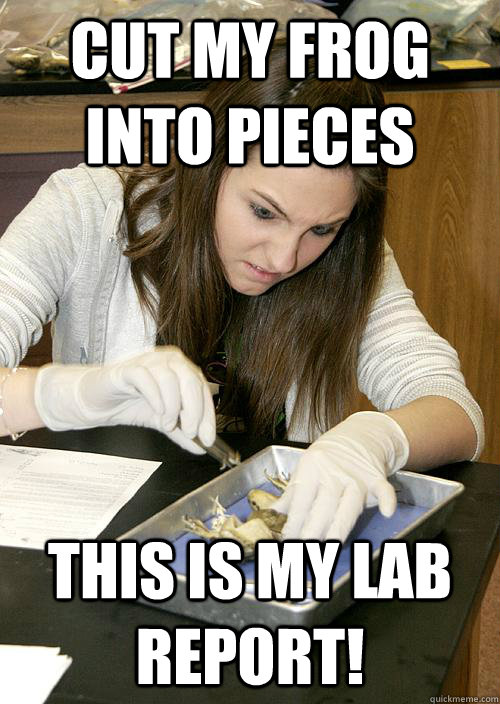 Frog dissection lab report