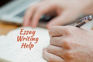 Help with writing a essay